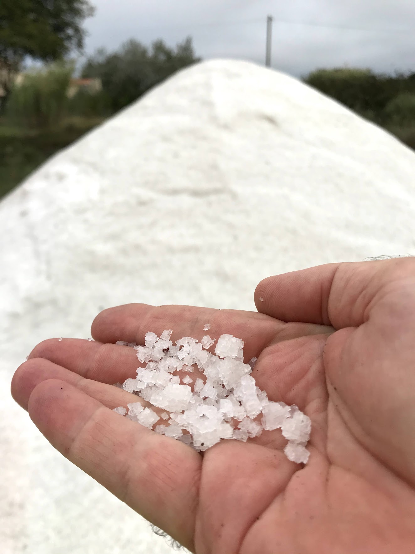 Aveiro lagoon salt